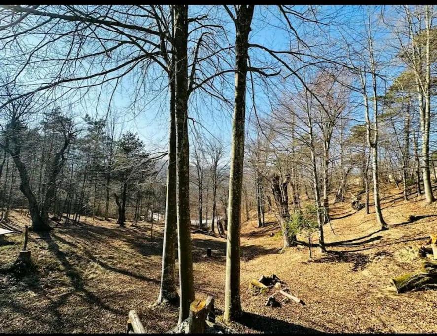 Il Villaggio Dei Puffi Bardineto Екстер'єр фото